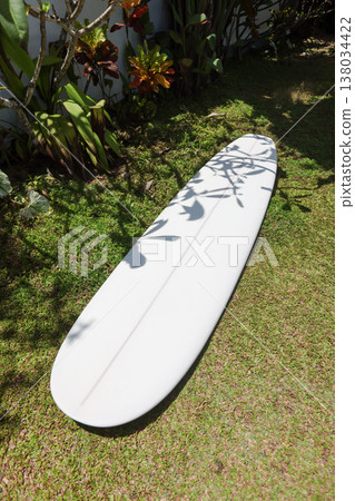 Surfboard on grass with tropical plant shadows Surfboard on grass with tropical plant shadows 138034422