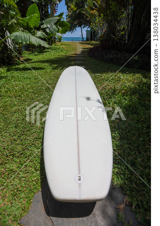 Surfboard on grass with tropical plant shadows 138034438