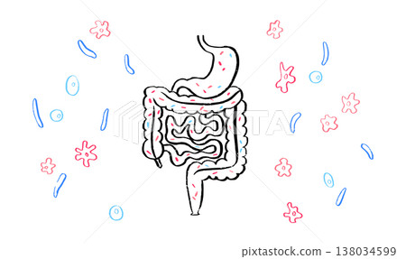 Gut Brain Connection 138034599
