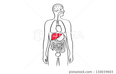 Liver disease concept Liver disease concept 138034603