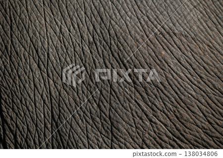 Real Elephant skin texture. Animal wrinkles Texture. Thai elephant nature pattern for background Real Elephant skin texture. Animal wrinkles Texture. Thai elephant nature pattern for background 138034806