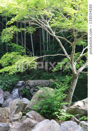 河流、岩石和樹木 138034880