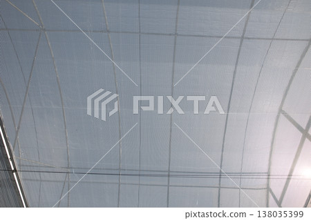Greenhouse roof. Translucent roof of plant nursery in modern agriculture farm. Greenhouse roof. Translucent roof of plant nursery in modern agriculture farm. 138035399