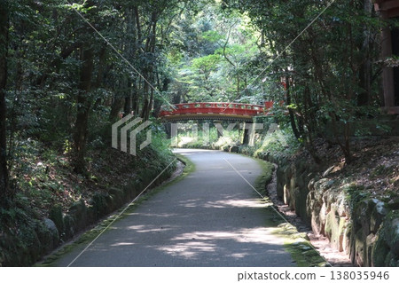 美國神社 138035946