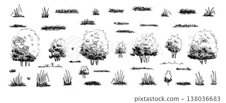 Tree, bushes and grass sketch line art. Ink brush black park elements illustration. Vintage forest shrubs, ink landscape vector shapes. Garden bushes silhouette isolated on white bg 138036683