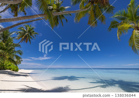 Idyllic Maldives beach with palm trees, turquoise lagoon, soft sand, sunny tropical summer vacation, exotic paradise 138036844