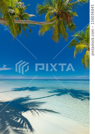 Maldives tropical beach with turquoise water, palm trees, soft white sand, sunny summer vacation paradise 138036845
