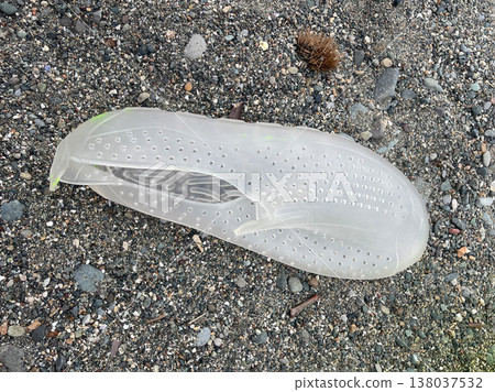 swimming slipper on the beach near the sea 138037532