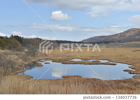 Yashima Marsh, Kirigamine Plateau, Nagano Prefecture Yashima Marsh, Kirigamine Plateau, Nagano Prefecture 138037736
