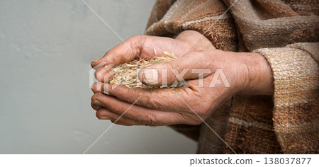 Farmer holds grains in his hands 138037877