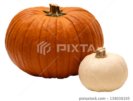 Two pumpkins are placed together on a clear background. One pumpkin is large and orange while the other is small and white. These pumpkins can be used for fall decorations or Halloween 138038105