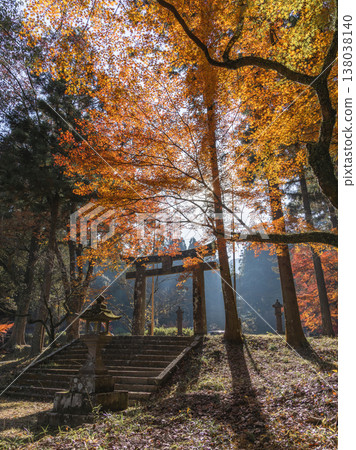 Autumn leaves and a torii gate viewed against the light. Autumn leaves and a torii gate viewed against the light. 138038140