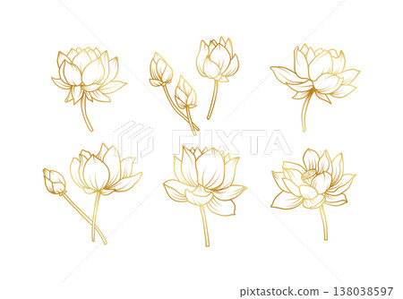 Elegant golden lotus flower vector set with blooming blossoms and buds in fine line art style for luxury branding spa wellness and spiritual design Elegant golden lotus flower vector set with blooming blossoms and buds in fine line art style for luxury branding spa wellness and spiritual design 138038597
