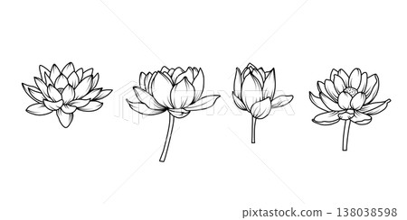 Minimalist black lotus flower line art vector set with blooming blossoms and buds in elegant hand drawn style for spa wellness and coloring page design Minimalist black lotus flower line art vector set with blooming blossoms and buds in elegant hand drawn style for spa wellness and coloring page design 138038598