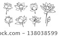 Minimalist lotus flower line art vector set with blooming blossoms and buds in elegant hand drawn style for spa wellness and spiritual design 138038599