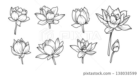 Minimalist lotus flower line art vector set with blooming blossoms and buds in elegant hand drawn style for spa wellness and spiritual design Minimalist lotus flower line art vector set with blooming blossoms and buds in elegant hand drawn style for spa wellness and spiritual design 138038599