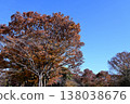 Fall landscape 138038676