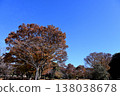 Fall landscape 138038678