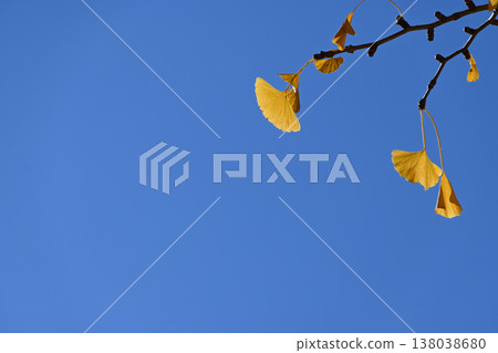 Fall landscape Fall landscape 138038680