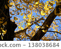 Fall landscape 138038684
