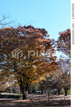 Fall landscape Fall landscape 138038689