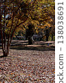 Fall landscape 138038691