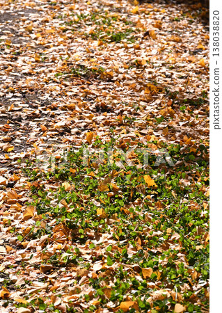 Fall landscape Fall landscape 138038820