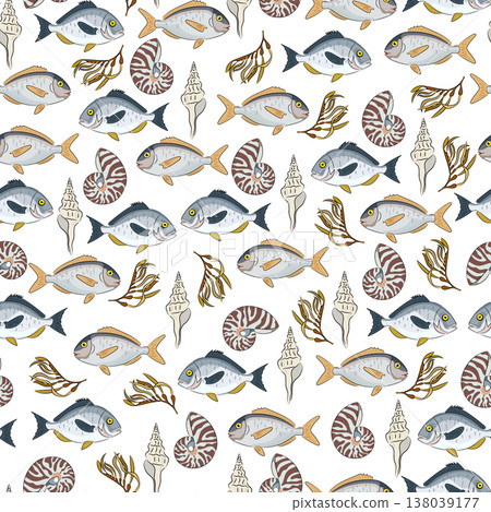 Seamless pattern sea with fish, shells and seaweed, flat vector background with nautilus shells and tropical fish. Hand drawn, scribble. Seamless pattern sea with fish, shells and seaweed, flat vector background with nautilus shells and tropical fish. Hand drawn, scribble. 138039177