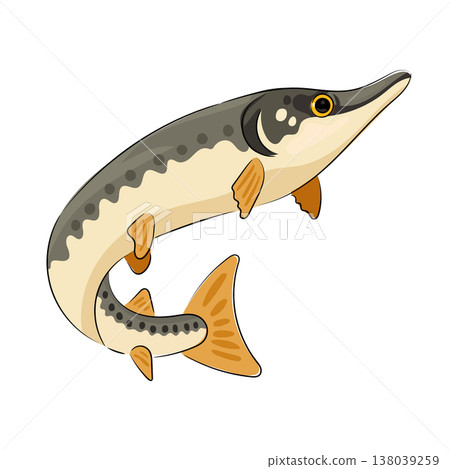 Northern pike, flat vector illustration of a freshwater predator with a long body and fins. Fishing and wildlife icon in cartoon style, isolated on white background. Hand drawn, scribble. Northern pike, flat vector illustration of a freshwater predator with a long body and fins. Fishing and wildlife icon in cartoon style, isolated on white background. Hand drawn, scribble. 138039259