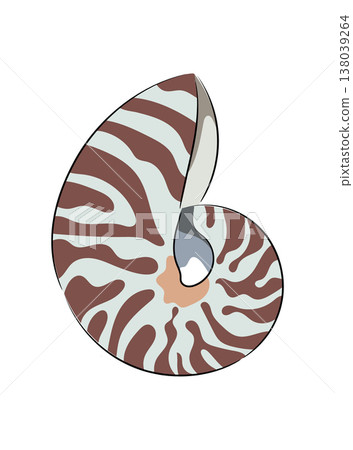 Nautilus shell, spiral sea shell with striped pattern, flat vector illustration of marine mollusk shell isolated on white background. Hand drawn, scribble. Nautilus shell, spiral sea shell with striped pattern, flat vector illustration of marine mollusk shell isolated on white background. Hand drawn, scribble. 138039264