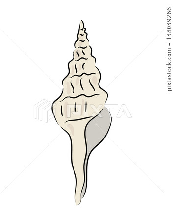 Sea shell in spiral shape, elegant marine shell illustration, flat vector ocean conch isolated on white background. Hand drawn, scribble. Sea shell in spiral shape, elegant marine shell illustration, flat vector ocean conch isolated on white background. Hand drawn, scribble. 138039266