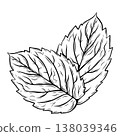 Minimalist Mint and Rosemary Botanical Line Art Vector Illustration 138039346