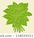 Green Herbal Leaves Bundle on Beige Background Vector Illustration 138039351