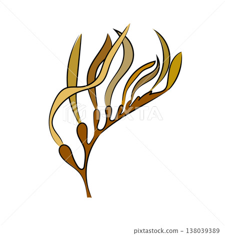 Brown algae, sea plant illustration, flat vector seaweed branch isolated on white background. Hand drawn, scribble. Brown algae, sea plant illustration, flat vector seaweed branch isolated on white background. Hand drawn, scribble. 138039389