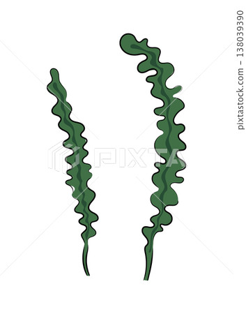 Green seaweed leaves, seaweed illustration, flat vector aquatic plant elements isolated on white background. Hand drawn, scribble. Green seaweed leaves, seaweed illustration, flat vector aquatic plant elements isolated on white background. Hand drawn, scribble. 138039390