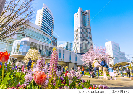 日本橫濱城市景觀，3月23日。櫻木町站（空中客艙）、Hulic Minatomirai、櫻花和其他花卉的景色。 138039582