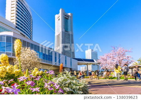 Yokohama cityscape, Japan, March 23rd. View of Sakuragicho Station (Air Cabin), Hulic Minatomirai, cherry blossoms, and other flowers. 138039623