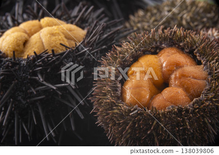 海膽殼和美味的海膽 海膽殼和美味的海膽 138039806