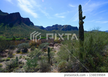 Salt River Recreation Area Arizona Salt River Recreation Area Arizona 138039984