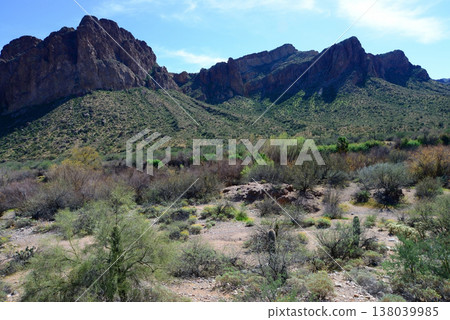 Salt River Recreation Area Arizona 138039985