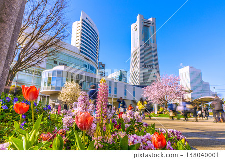 Yokohama cityscape, Japan, March 23rd. View of Sakuragicho Station (Air Cabin), Hulic Minatomirai, cherry blossoms, and other flowers. Yokohama cityscape, Japan, March 23rd. View of Sakuragicho Station (Air Cabin), Hulic Minatomirai, cherry blossoms, and other flowers. 138040001