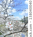 閃耀在藍天的櫻花 138040040