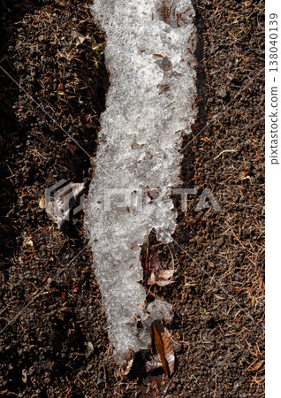 Snow that has begun to melt, like a living thing Snow that has begun to melt, like a living thing 138040139