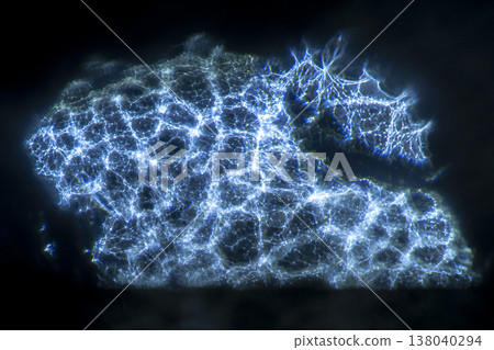 Microcosm of Light Microcosm of Light 138040294