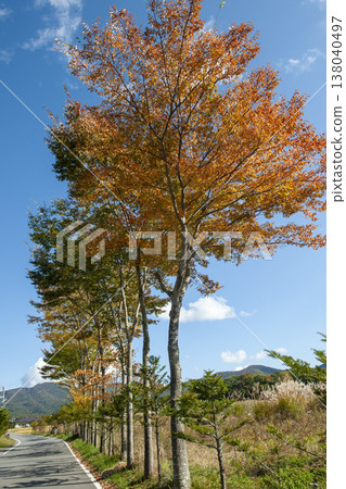 Alder trees used for drying rice on racks. 138040497
