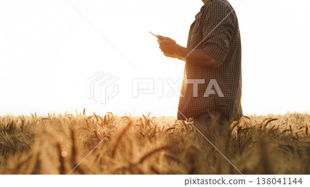 Man holds smartphone while standing in wheat field during sunset in rural area 138041144