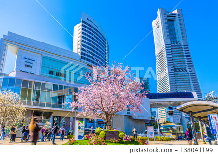 在日本橫濱的都市景觀中，外國遊客與盛開的櫻花合影留念…入境旅遊仍在繼續…從飛機機艙看到的櫻木町站景色。 138041199