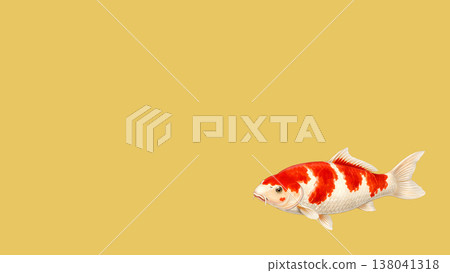 A Japanese-style illustration featuring red and white koi carp against a gold background, positioned to the right to make good use of the negative space. 138041318