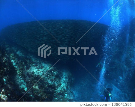 一名潛水員在墨西哥拉巴斯海岸附近拍攝到巨大的魚牆。 138041595