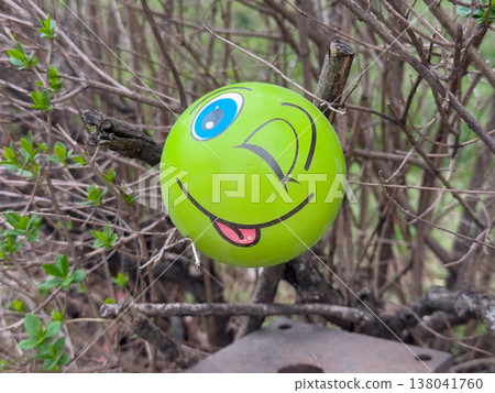 Green smiley balloon caught in leafless shrub branches in outdoor garden setting. Playful litter narrative, environmental contrast, discarded object, childhood symbol, urban nature interaction concept Green smiley balloon caught in leafless shrub branches in outdoor garden setting. Playful litter narrative, environmental contrast, discarded object, childhood symbol, urban nature interaction concept 138041760